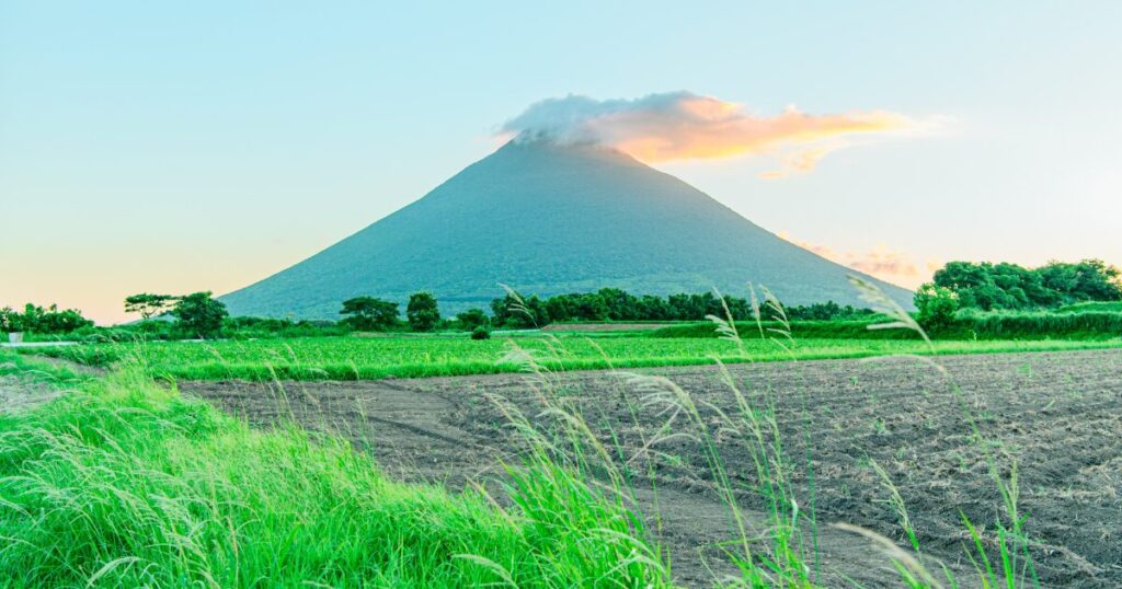 夕暮れの開聞岳と田園風景に広がる自然の景色
