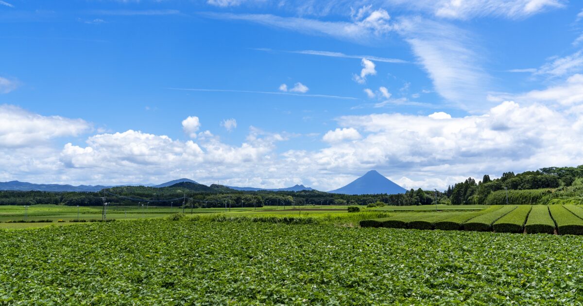開聞岳を望む広大な畑と青空が広がる田園風景