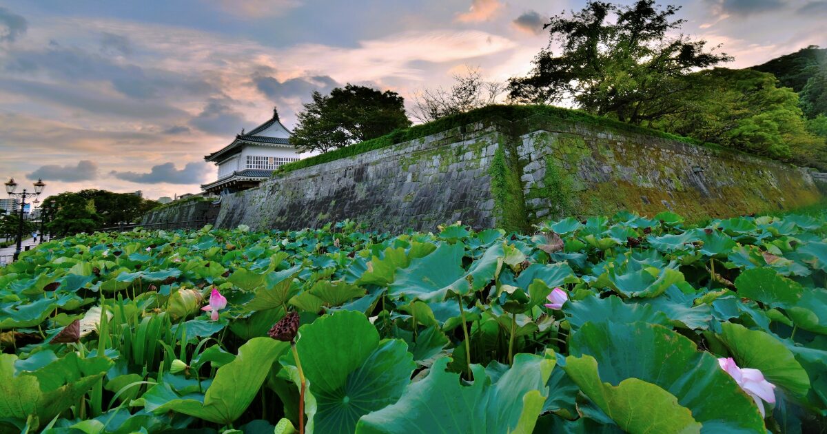蓮池と石垣に囲まれた城跡と櫓の風景
