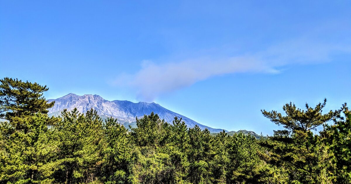 桜島と松林が広がる自然豊かな風景