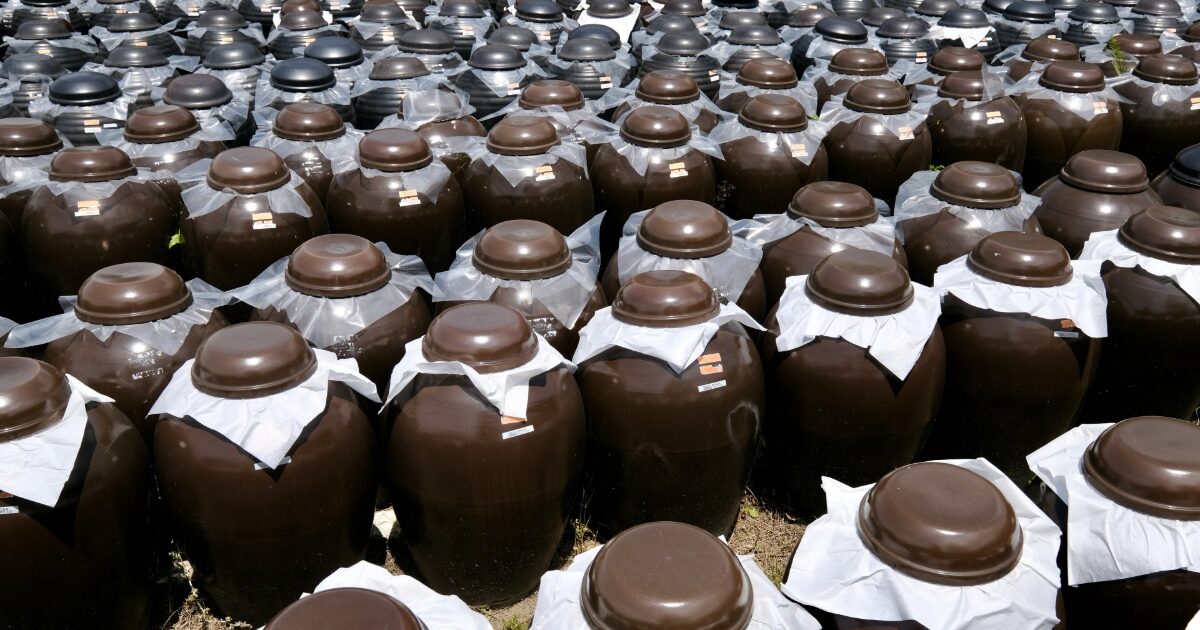 焼酎の熟成に使われる壺が並ぶ伝統的な貯蔵風景