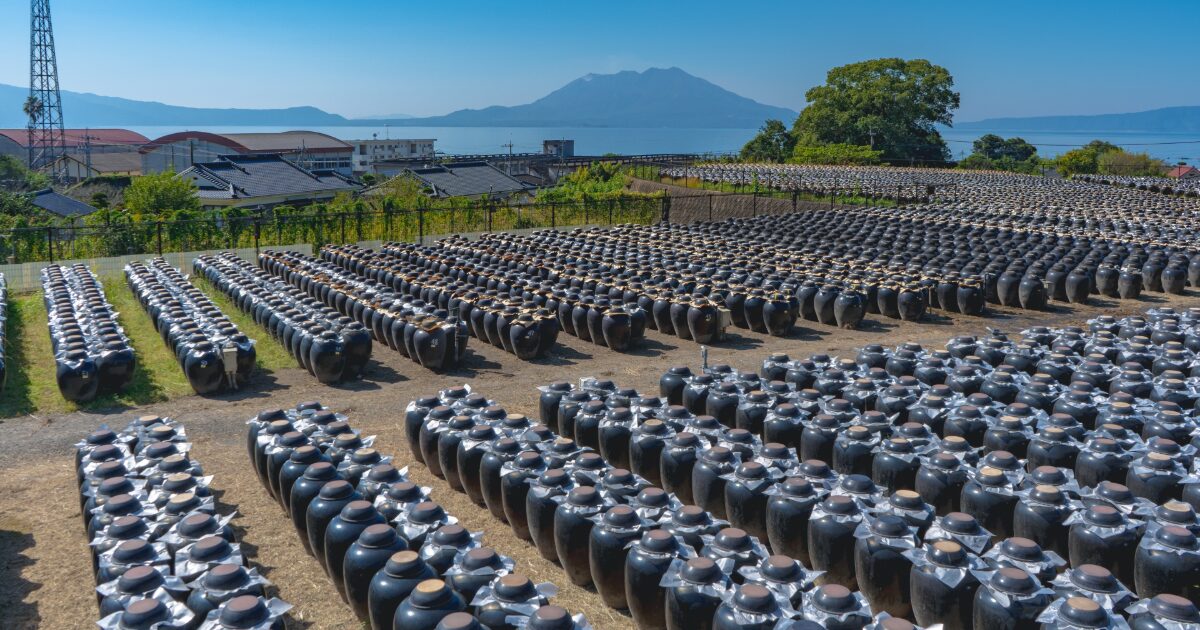 桜島を望む壺畑に並ぶ黒酢の甕