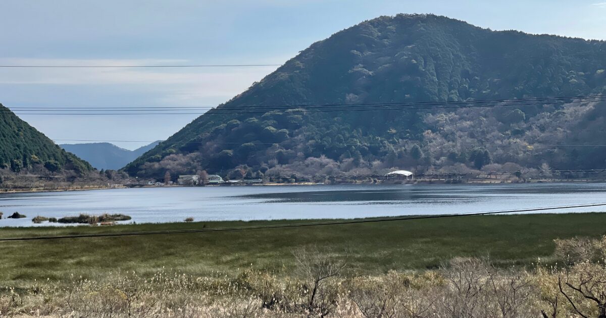 穏やかな水面が広がる藺牟田池の外輪山と湿原